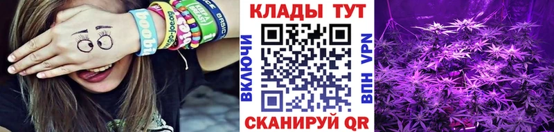 Как найти наркотики Ленинск-Кузнецкий Марихуана Псилоцибиновые грибы Меф Alpha PVP