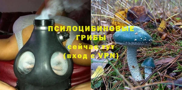 прущая мука Нея