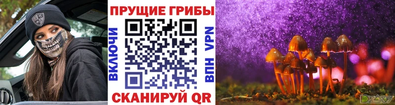 Псилоцибиновые грибы мухоморы Ленинск-Кузнецкий